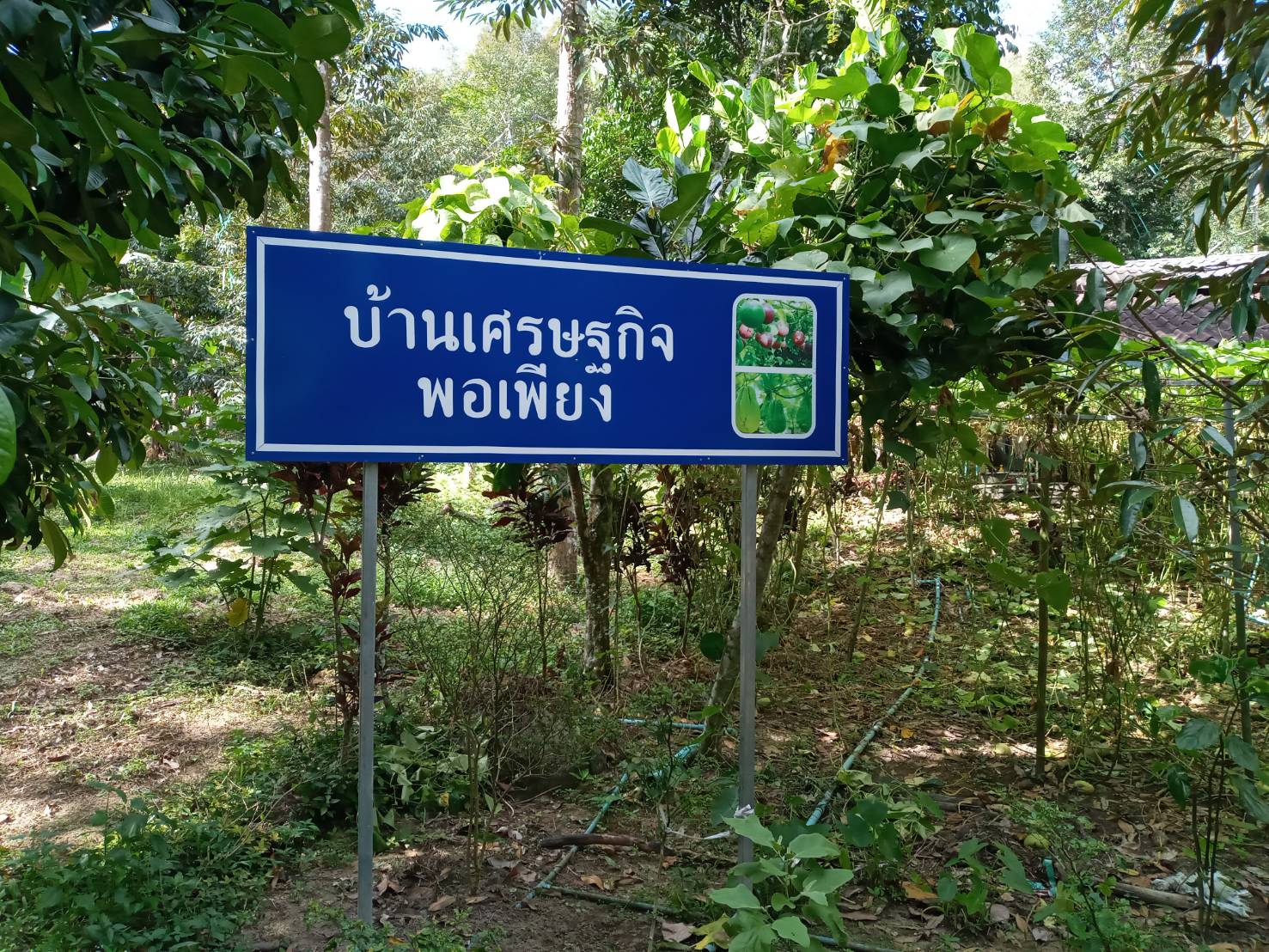 พจ.ยะลา ลงพื้นที่ อ.ธารโต ติดตามและรับฟังข้อคิดเห็นข้อเสนอแนะการพัฒนาชุมชนท้องถิ่นตามหลักปรัชญาเศรษฐกิจพอเพียง ในระดับพื้นที่