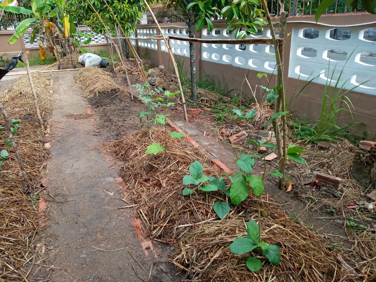 เริ่มแล้ว “ผู้นำต้องทำก่อน” 90 วันปลูกผักสวนครัว เพื่อความมั่นคงทางอาหาร