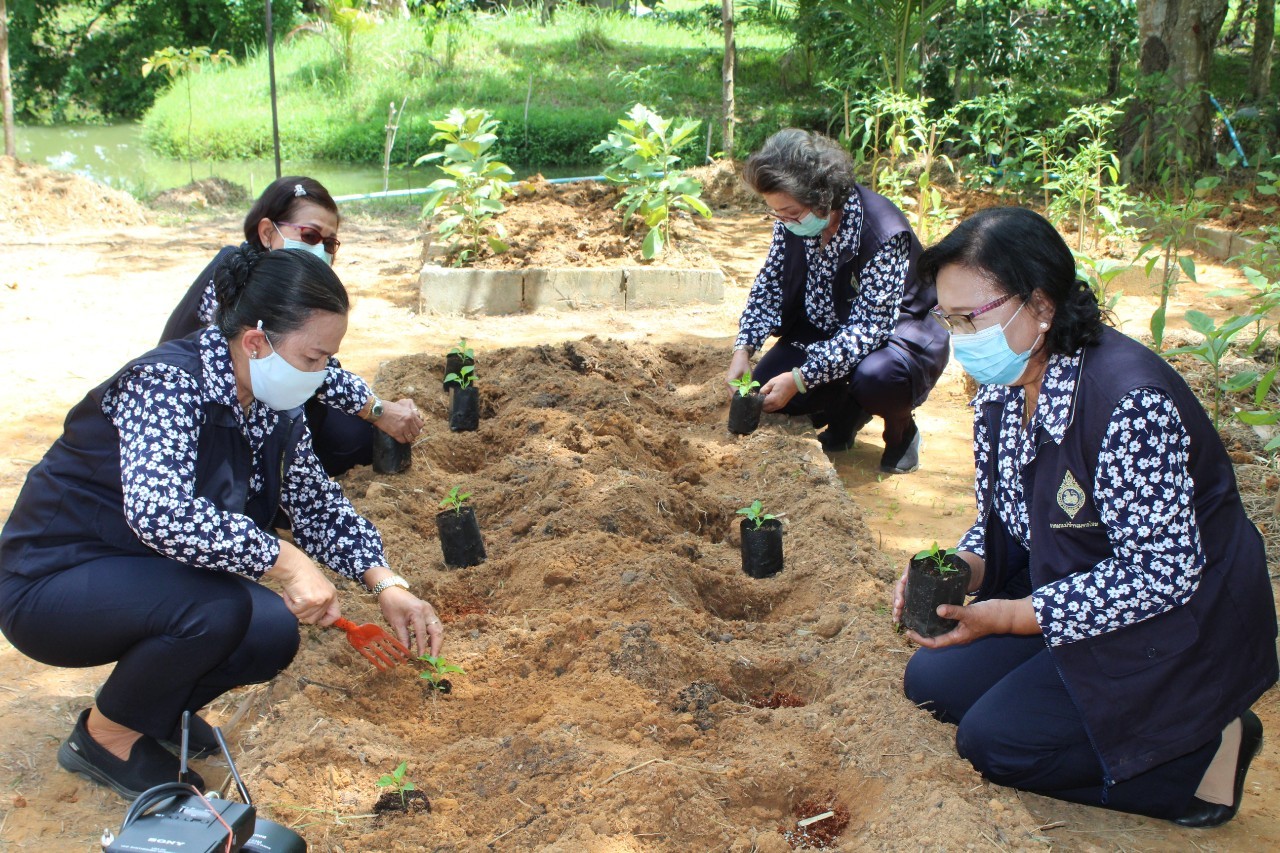 พช.ยะลา สนับสนุนเมล็ดพันธุ์ผักโครงการ “ที่ว่างสร้างอาหาร” ของชมรมแม่บ้านมหาดไทย ยะลา