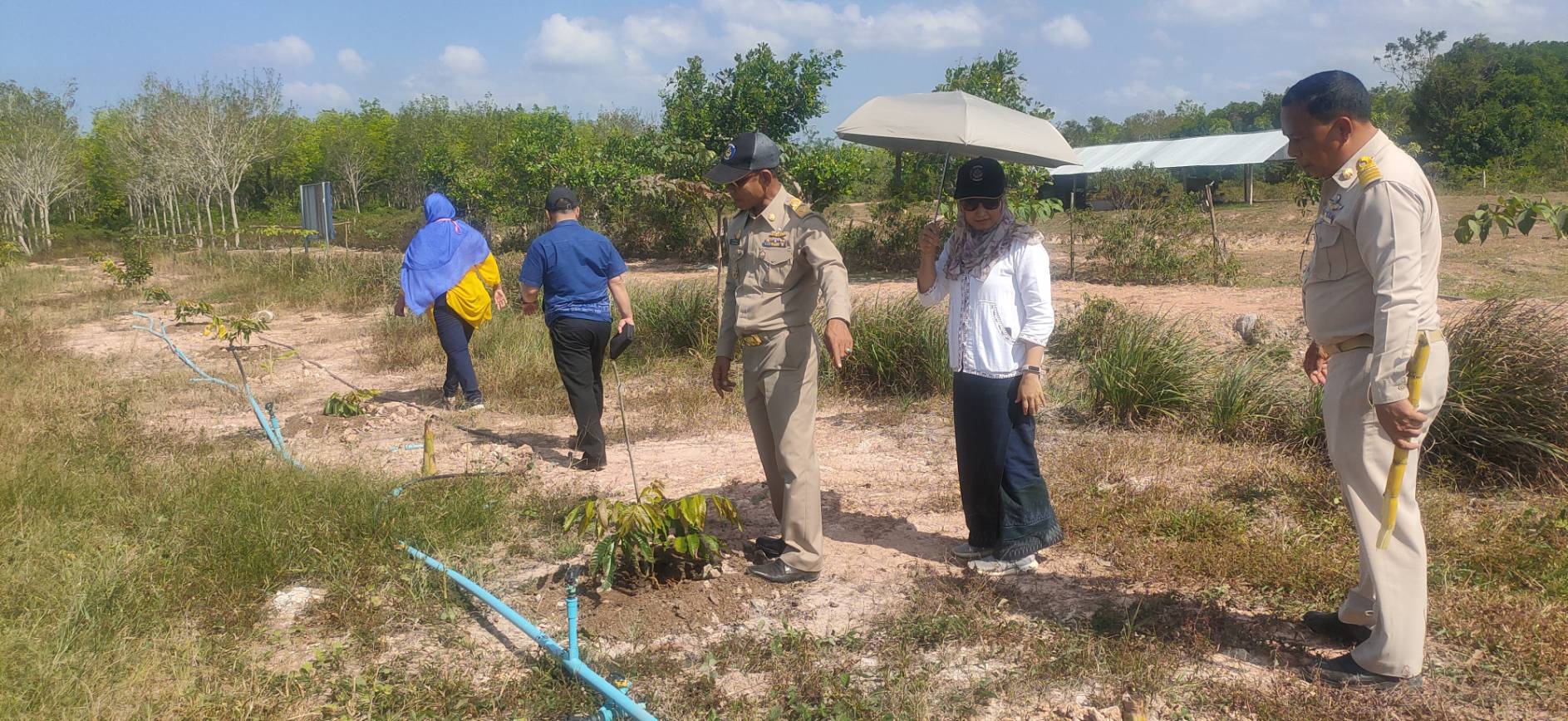 พจ.ยะลา ติดตามการดำเนินงาน “โคก หนอง นา โมเดล” ตำบลวังพญา