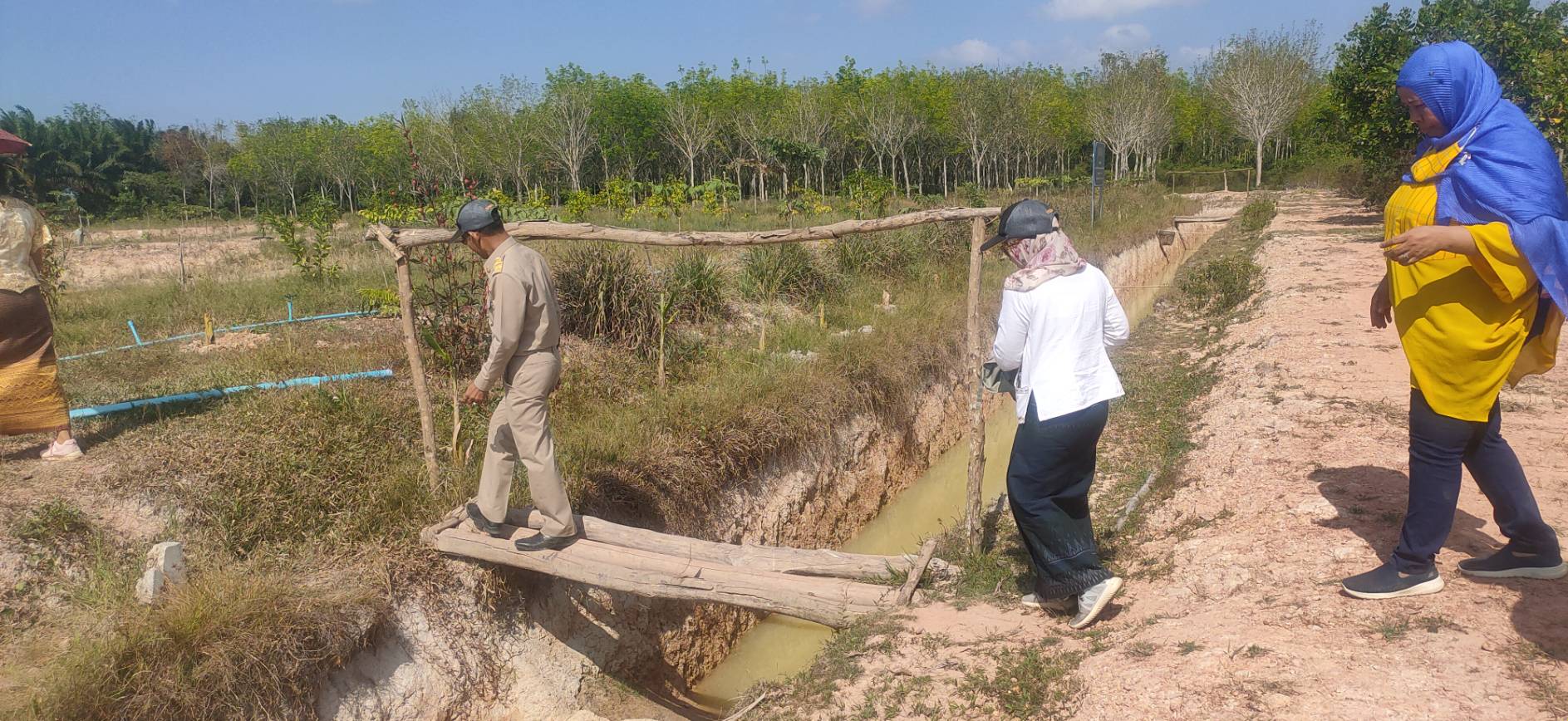 พจ.ยะลา ติดตามการดำเนินงาน “โคก หนอง นา โมเดล” ตำบลวังพญา