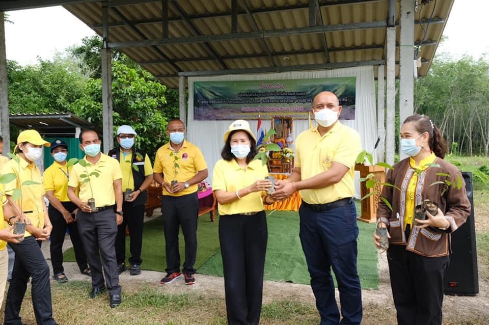 พช.ยะลา ร่วมกิจกรรมปลูกต้นไม้เฉลิมพระเกียรติเนื่องในโอกาสมหามงคลพระราชพิธีบรมราชาภิเษก และเฉลิมพระเกียรติ สมเด็จพระนางเจ้าสุทิดา พัชรสุธาพิมลลักษณ พระบรมราชินี