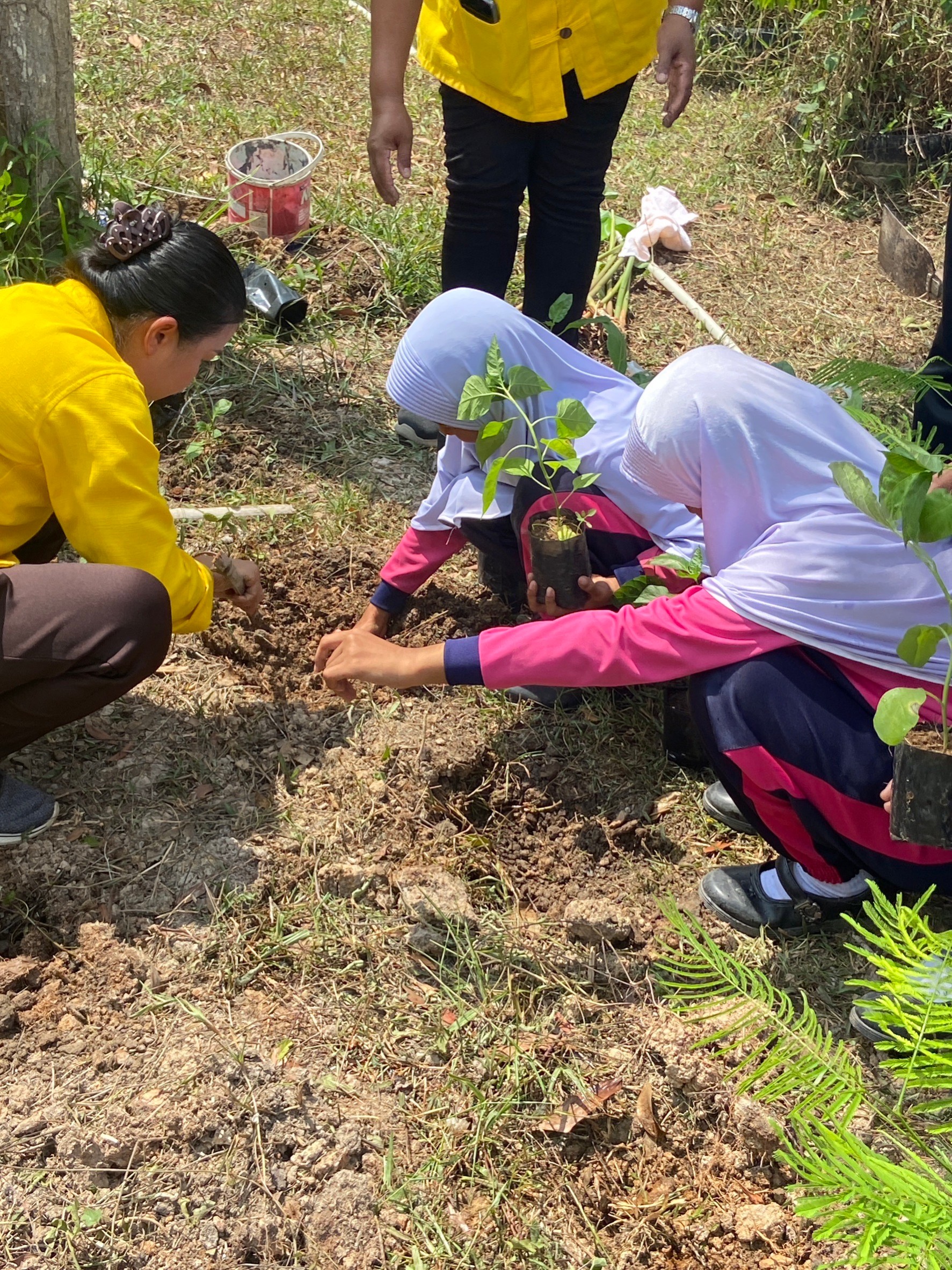 พช.ยะลา จัดโครงการส่งเสริมและสนับสนุนกิจกรรมอนุรักษ์พันธุกรรมพืช ตามโครงการอนุรักษ์พันธุกรรมพืชอันเนื่องมาจากพระราชดำริ สมเด็จพระเทพรัตนราชสุดาฯ สยามบรมราชกุมารี (อพ.สธ.)