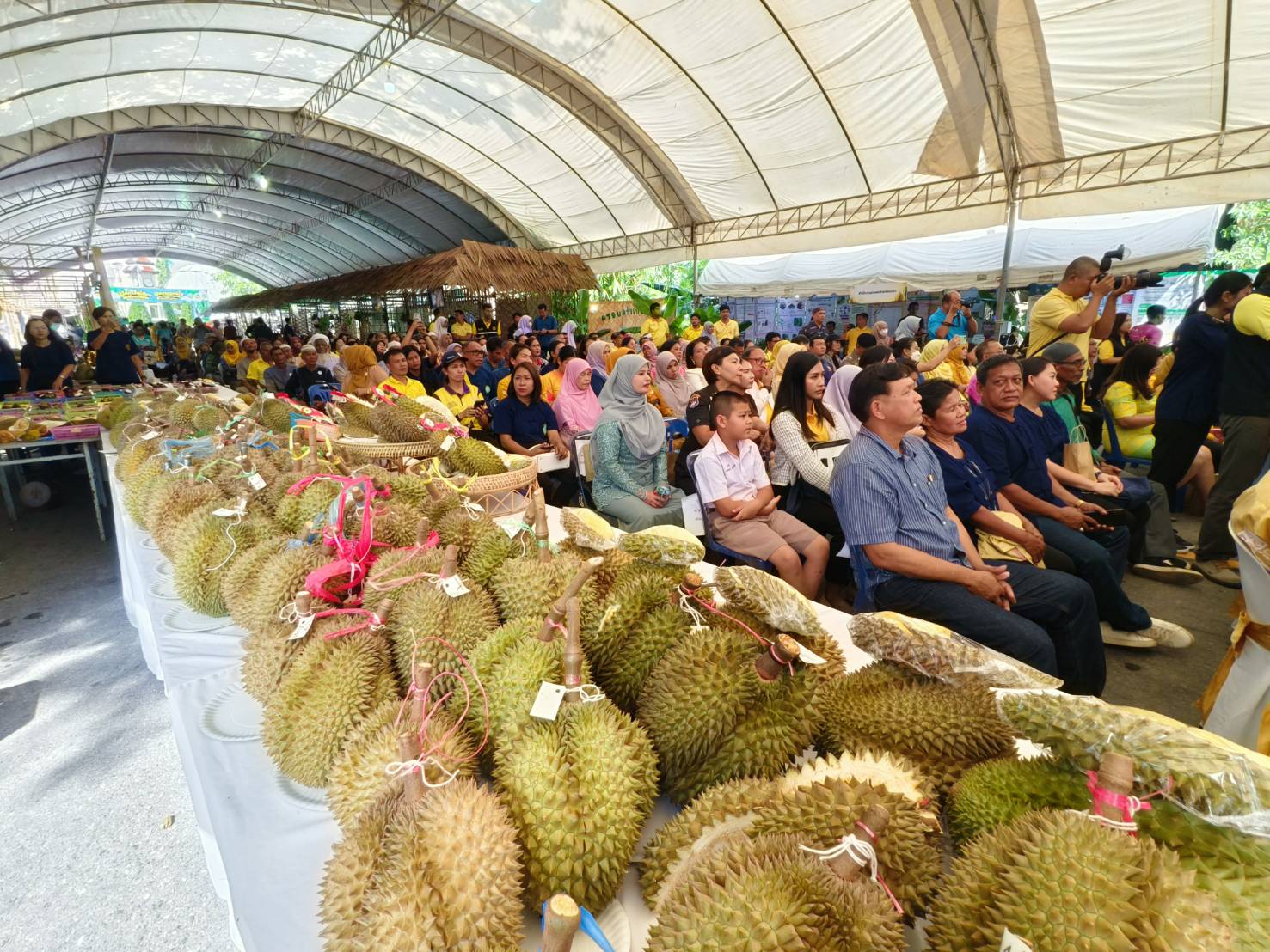 พช.ยะลา ร่วมพิธีเปิดงานมหกรรมผลไม้และของดีเมืองยะลา ประจำปี 2567