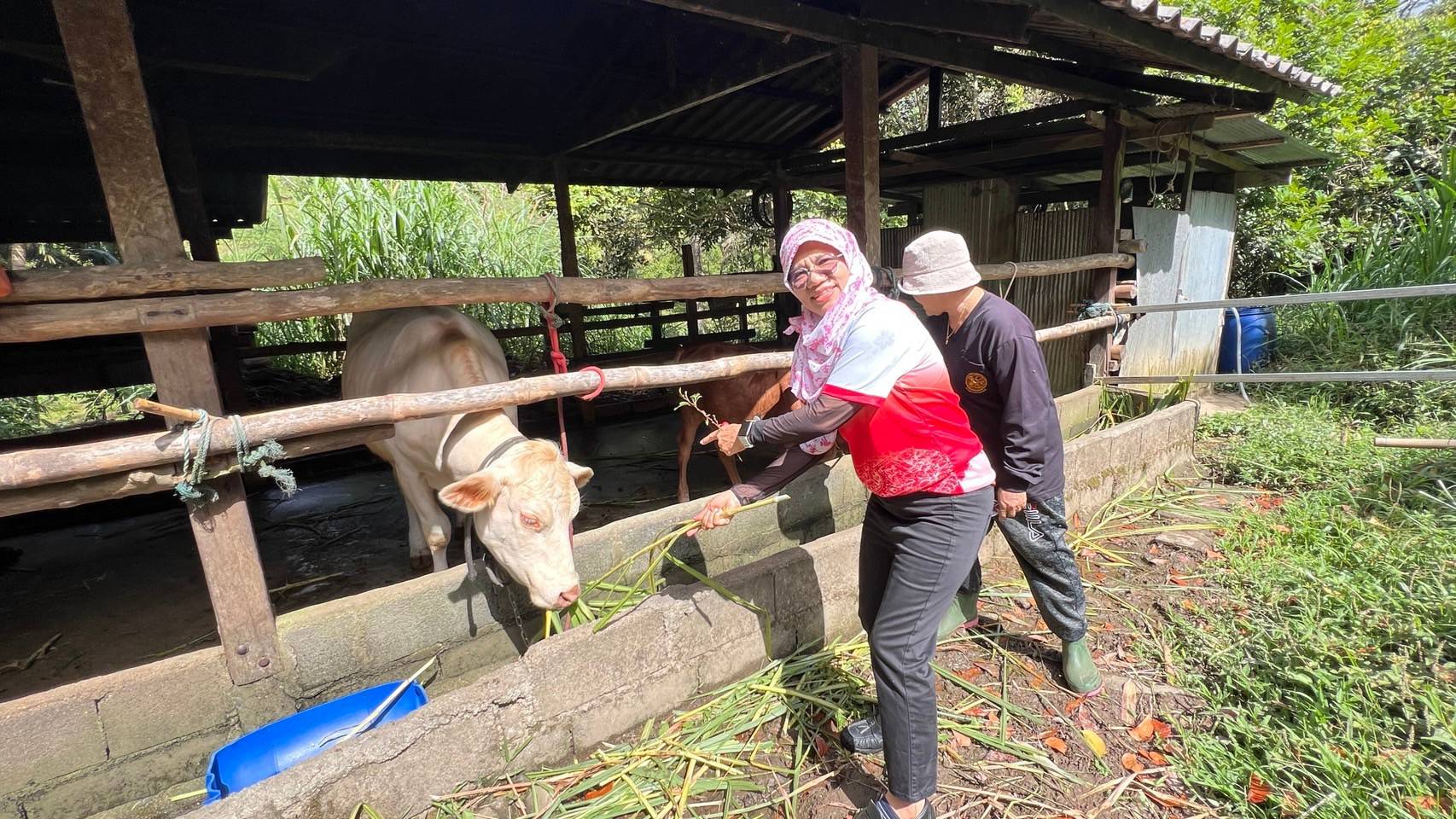 พช.ยะลา ติดตามผลการดำเนินงานเครือข่ายศูนย์เรียนรู้การพัฒนาคุณภาพชีวิตตามหลักทฤษฎีใหม่ ประยุกต์สู่ โคก หนอง นา จังหวัดยะลา