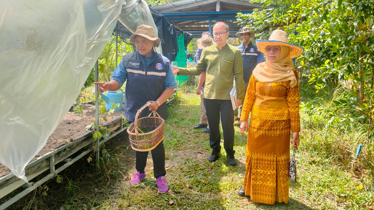พช.ยะลา ลงพื้นที่ส่งมอบครุภัณฑ์เครื่องสับย่อยอาหารสัตว์ ศูนย์เรียนรู้ชุมชนต้นแบบการพัฒนาคุณภาพชีวิต (Community Lab Model for quality of life : CLM) พร้อมเยี่ยมชมแปลงศูนย์เรียนรู้ฯ