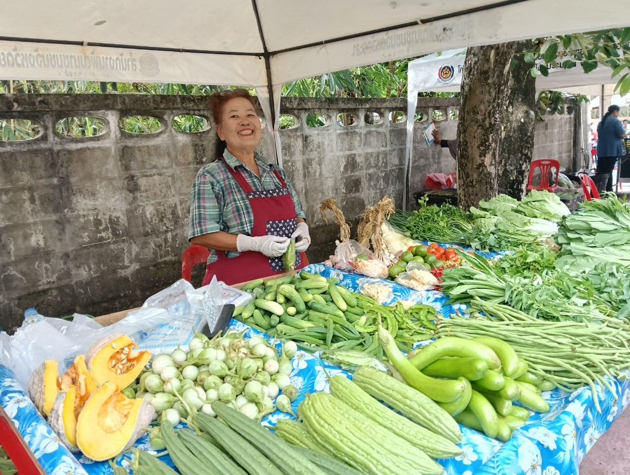 พช.ยะลา จัดตลาดนัดคนไทยยิ้มได้ “ช้อปสุขใจ หน้าบ้าน พช.” ยอดปังๆ เพิ่มขึ้นทุกสัปดาห์