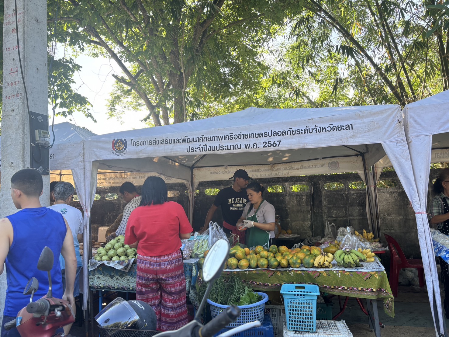 พช.ยะลา จัดตลาดนัดคนไทยยิ้มได้ “ช้อปสุขใจ หน้าบ้าน พช.” ยอดปังๆ เพิ่มขึ้นทุกสัปดาห์