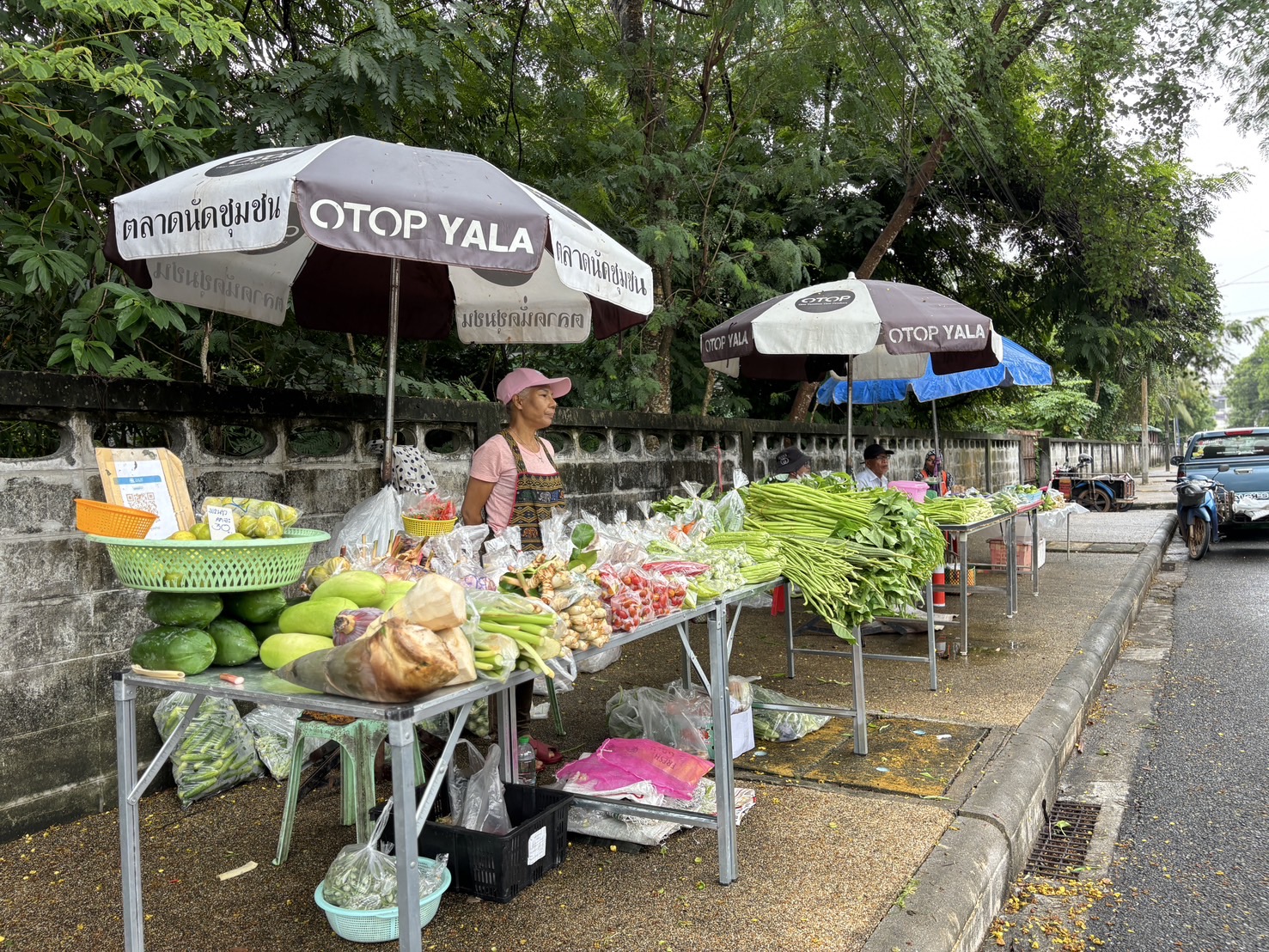 ยอดปังทุกสัปดาห์ “ตลาดนัดคนไทยยิ้มได้ ช้อปสุขใจหน้าบ้าน พช.“