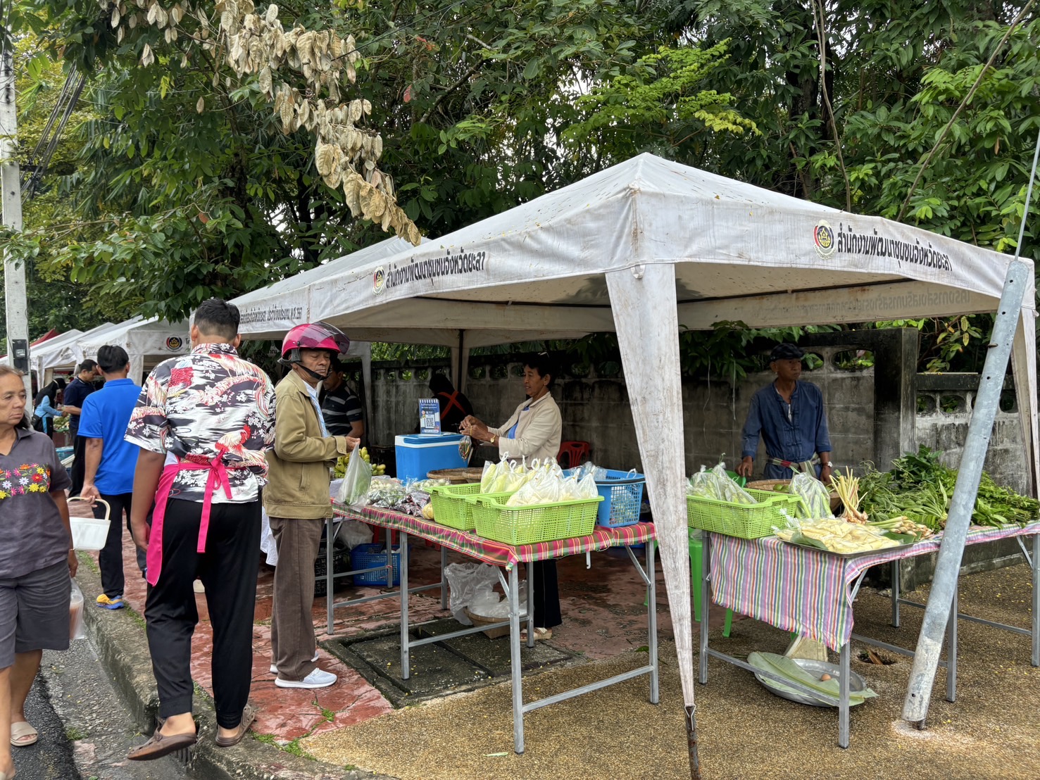 ยอดปังทุกสัปดาห์ “ตลาดนัดคนไทยยิ้มได้ ช้อปสุขใจหน้าบ้าน พช.“