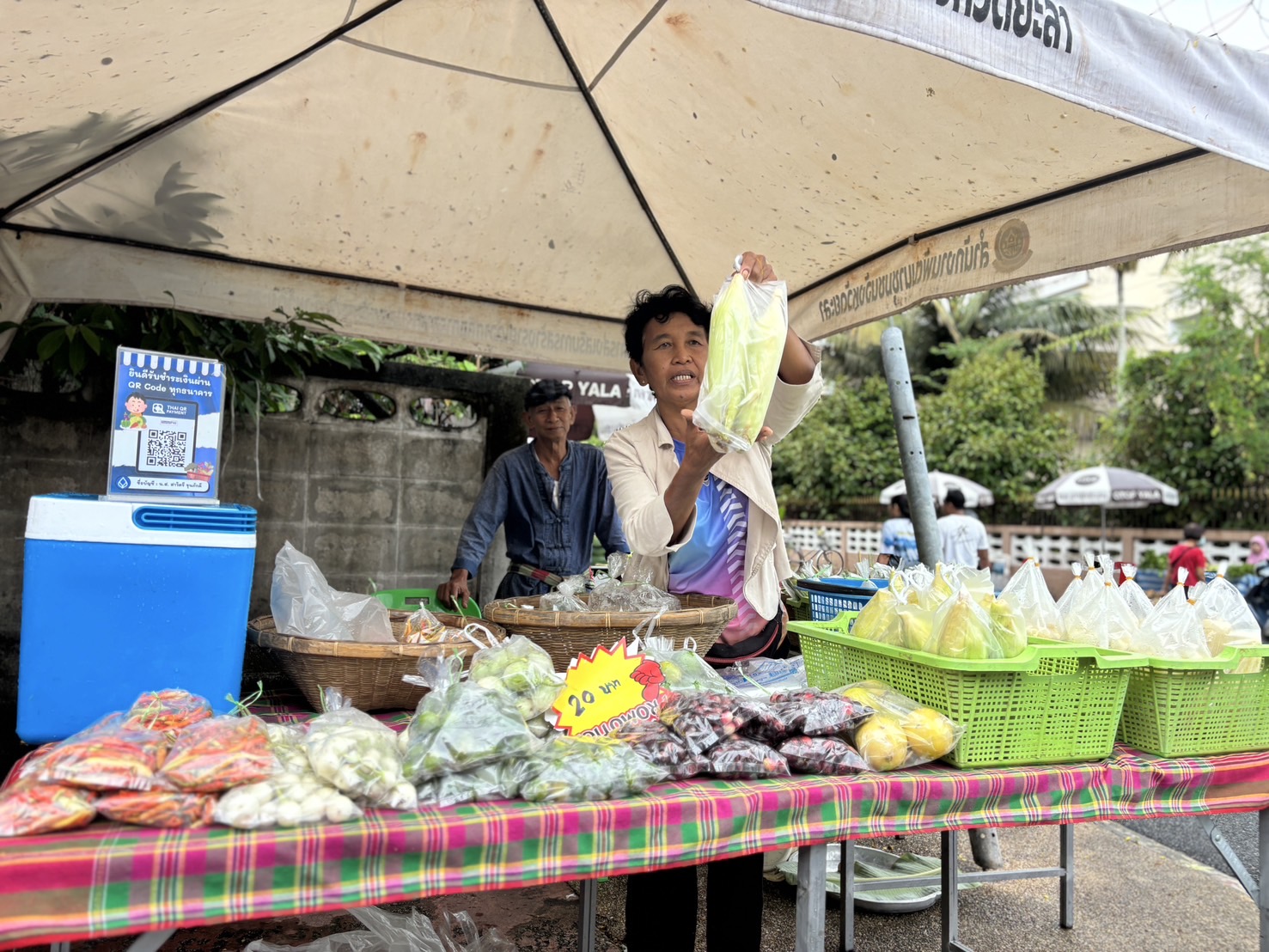 ยอดปังทุกสัปดาห์ “ตลาดนัดคนไทยยิ้มได้ ช้อปสุขใจหน้าบ้าน พช.“