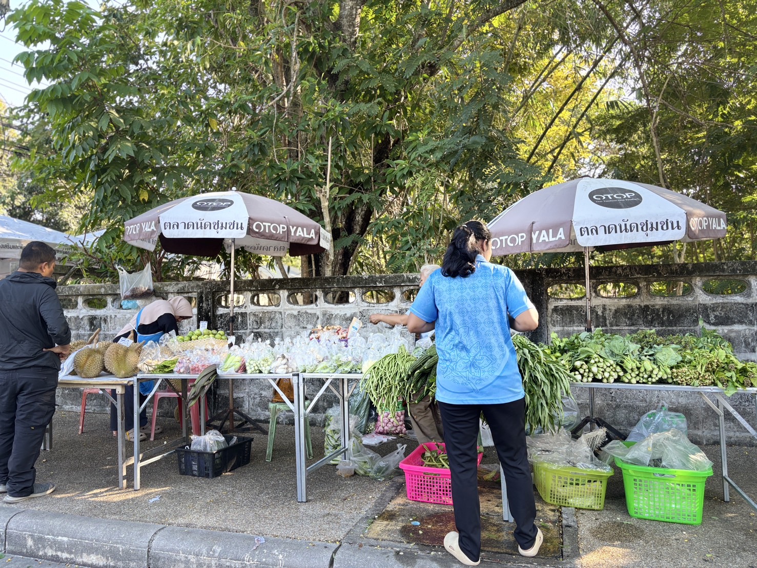 พช.ยะลา จัดตลาดนัดคนไทยยิ้มได้ “ช้อปสุขใจ หน้าบ้าน พช.” คึกคักต้อนรับฤดูกาลผลไม้